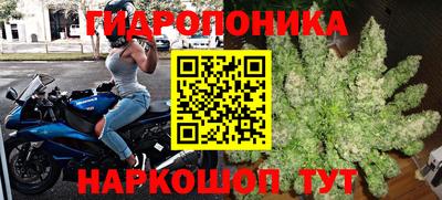 не бодяженный Кингисепп