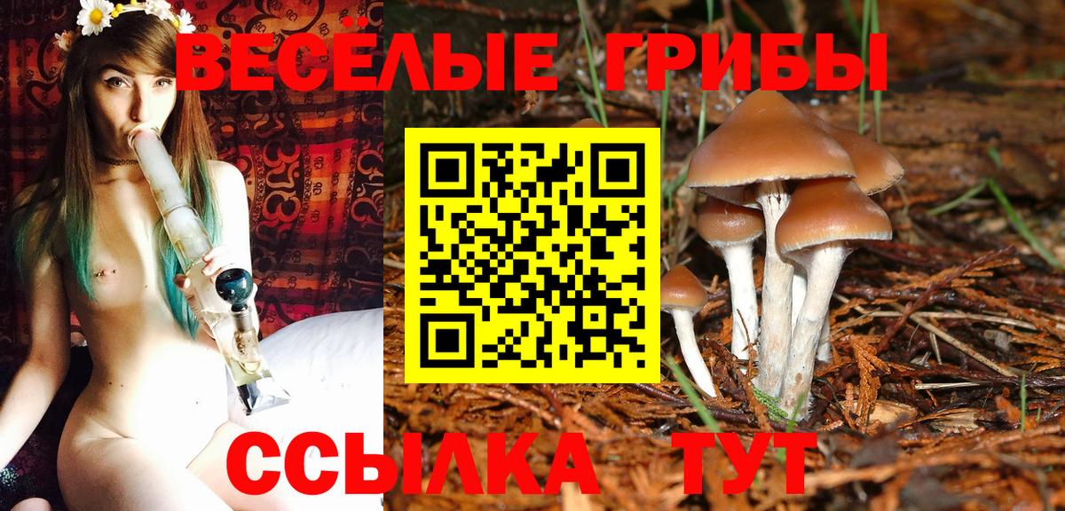 Галлюциногенные грибы Psilocybine cubensis Кувандык